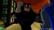 Wildcat