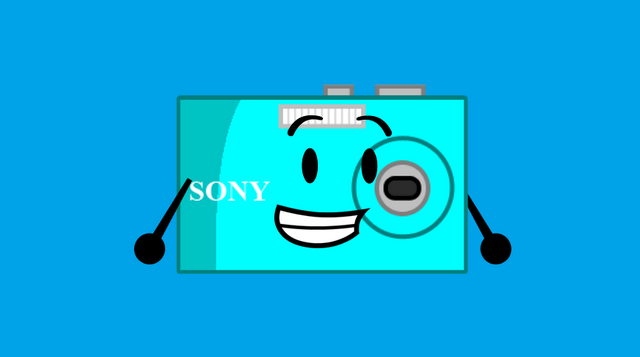 File:CAMERAPOSE.png