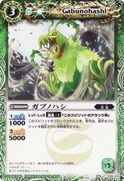 Gabunohashi1