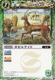 Gazellecaid1