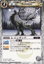 Reindeer1