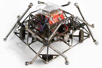 Ballbreaker sf01