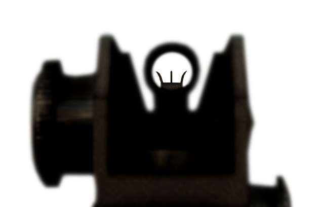 File:BC2 M16A2 IS.png