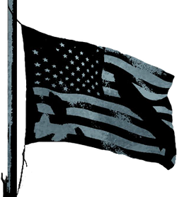 BFBC2 Conquest Flag.png