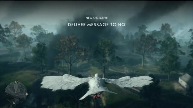 File:Carrier Pigeon 1.jpg