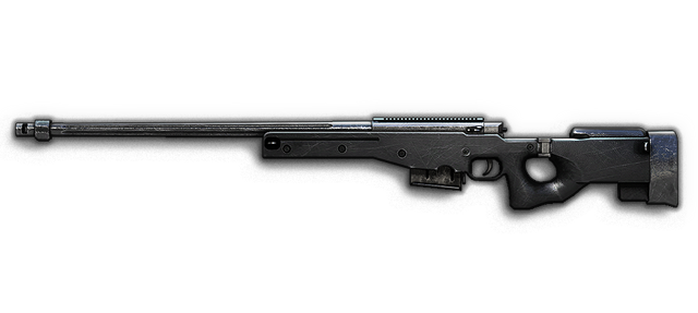 File:L-96.png