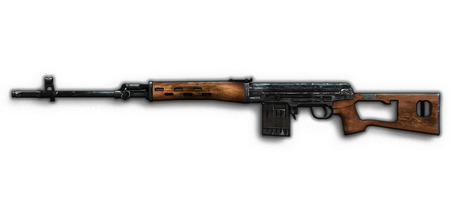 File:BFP4F Veteran SVD Render.png