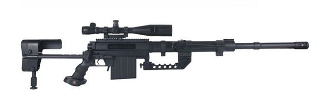 File:CheyTacIntervention.jpg