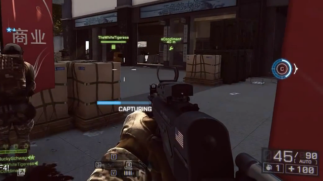 File:PP-2000 Red Dot BF4.png