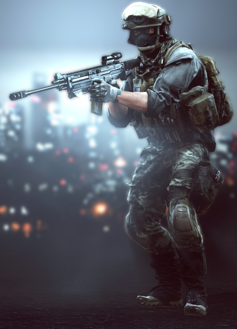 File:BF4 US support.png