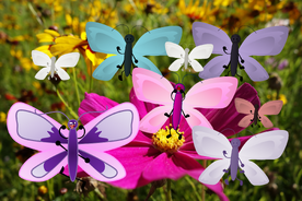 Butterfly & family