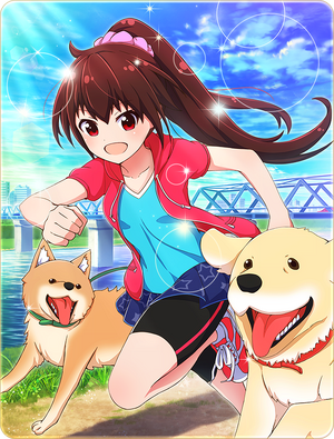 Card 50019.png