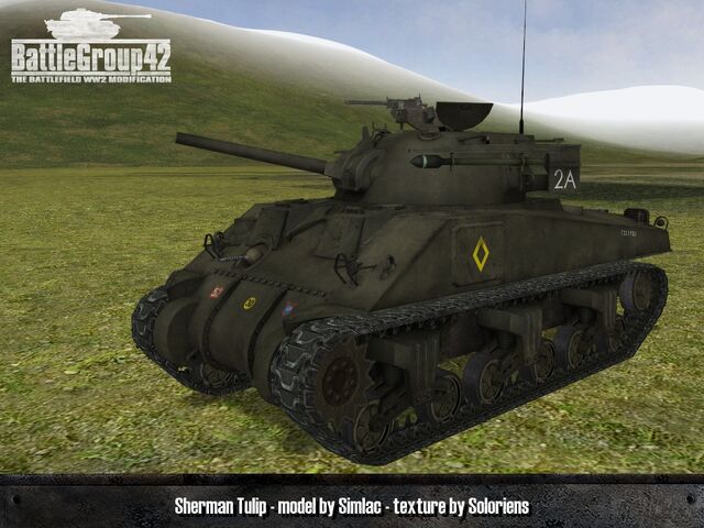 File:Sherman Tulip 1.jpg