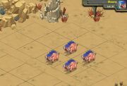 Boars 21a