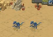 Raptors 6a