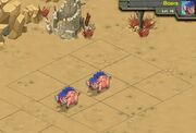 Boars 16d