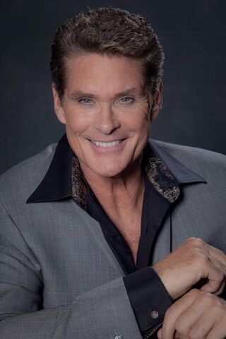 File:David Hasselhoff.jpg