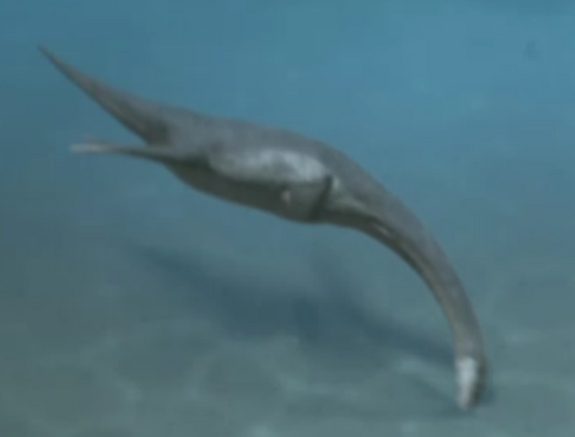 File:Kimmerosaurus.png