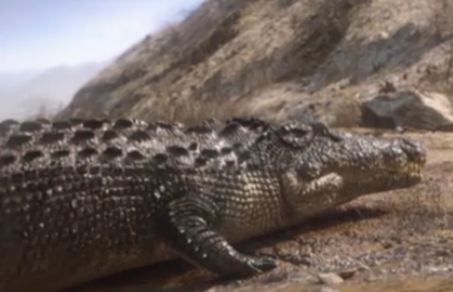 File:Croc.png