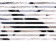 Interlaced Animation.gif