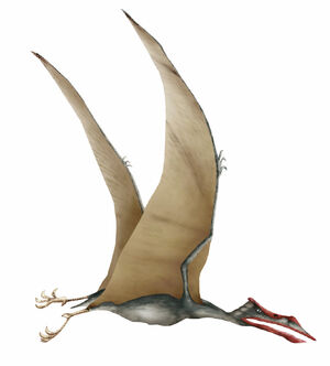 Quetzalcoatlus