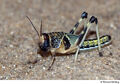 Thumbnail for version as of 14:23, March 2, 2012