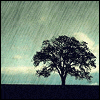 File:879047t251h6wqhv.gif