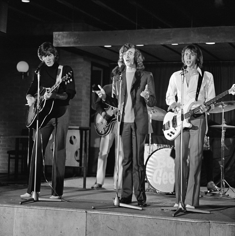 File:Wikia-Visualization-Main,beegees.png