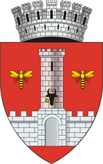 Stema vaslui.png