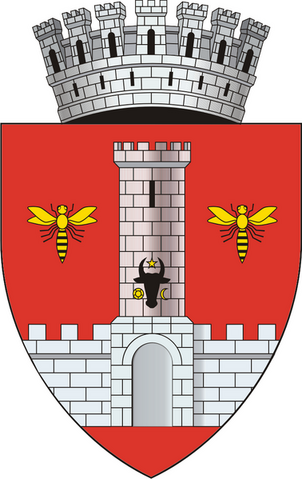 Fișier:Stema vaslui.png
