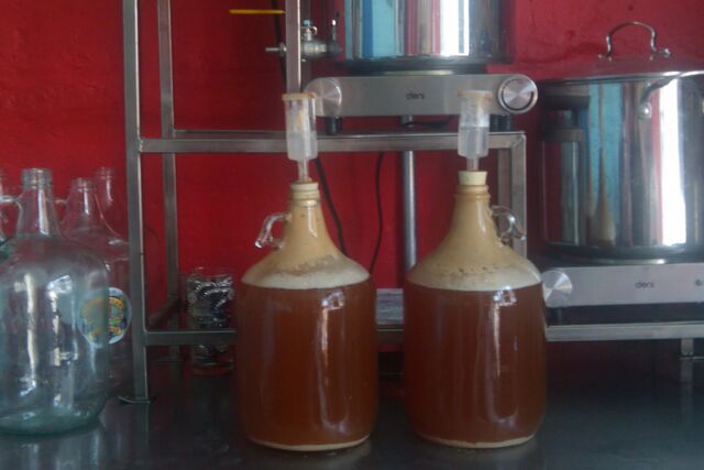 File:CIBrewingCofermenting.jpg