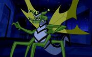 Stinkfly OV ten