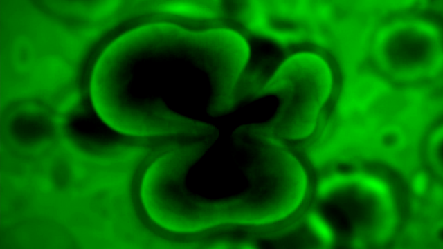 File:Simple (80).png