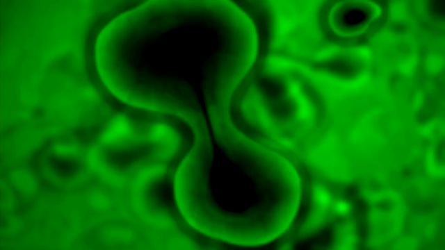 File:TCfB (284).png