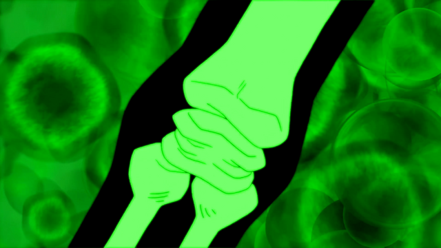 File:BoaF (48).png