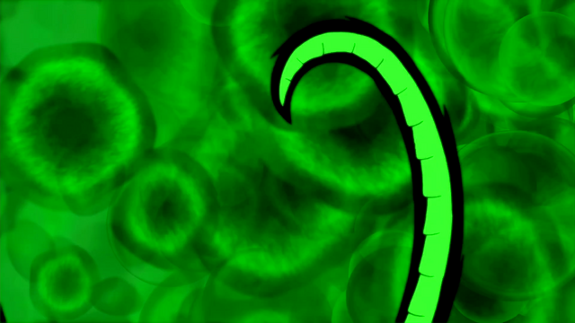 File:FG (157).png