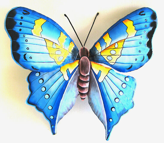 File:Butterfly.jpg