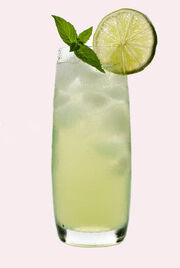 Ginfizz