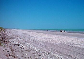 Eighty mile beach