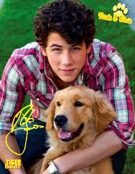 File:Nick 8.jpg