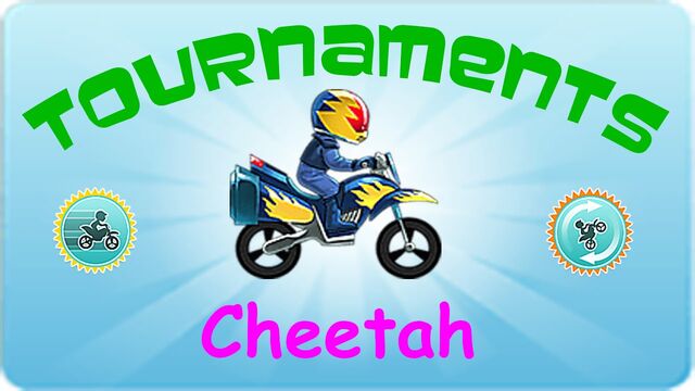 File:Cheetah.jpg