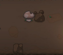 Shroom