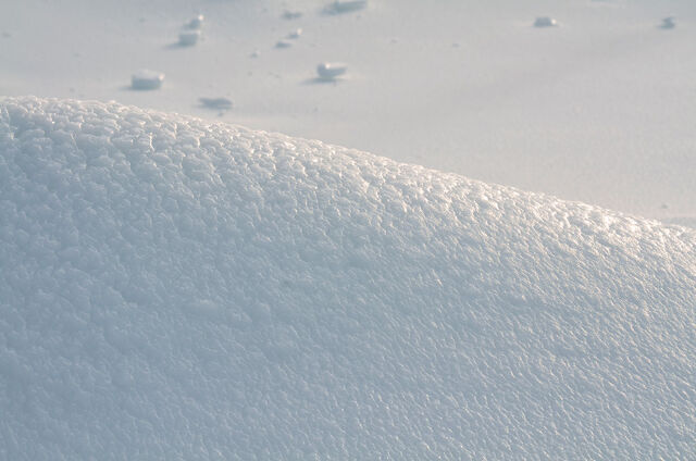 Fichier:Snow1.jpg