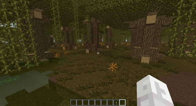 File:Bog 2.png