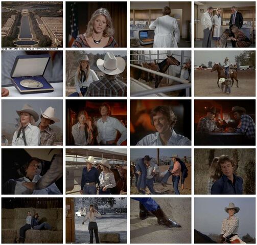 File:Th-The.Bionic.Woman.S03E05.DVDrip.XviD-SAiNTS.jpg