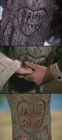File:Tree gaffe.jpg