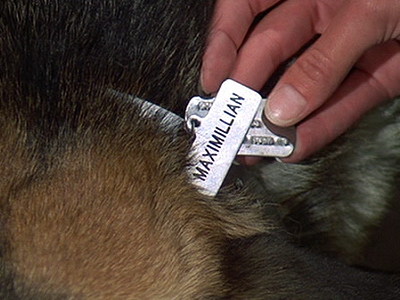 File:BionicDog gallery03.png