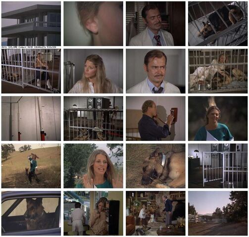 File:Th-The.Bionic.Woman.S03E01.DVDrip.XviD-SAiNTS.jpg