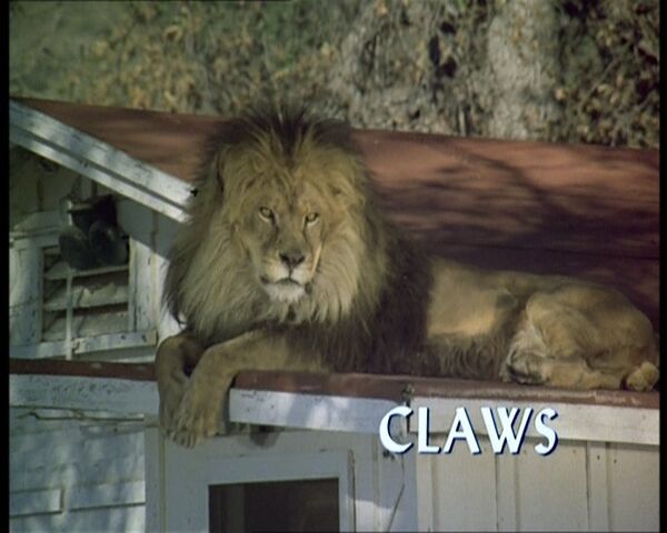 File:Claws.jpg