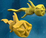 Squids